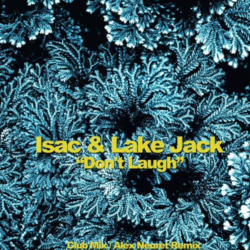 Don't Laugh