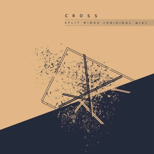 Cover art for Split Minds