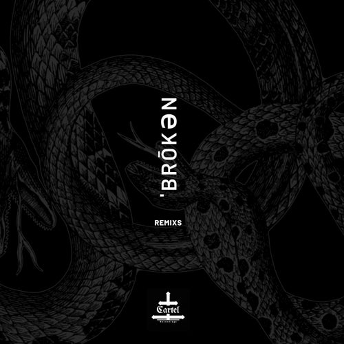 Cover art for Broken Remix's
