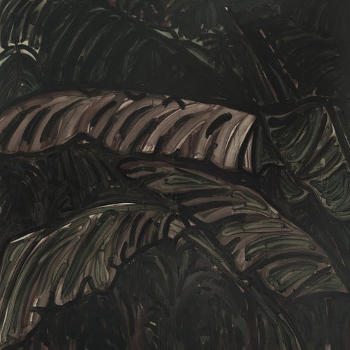 Entagled in Vines