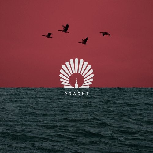 Cover art for Packard
