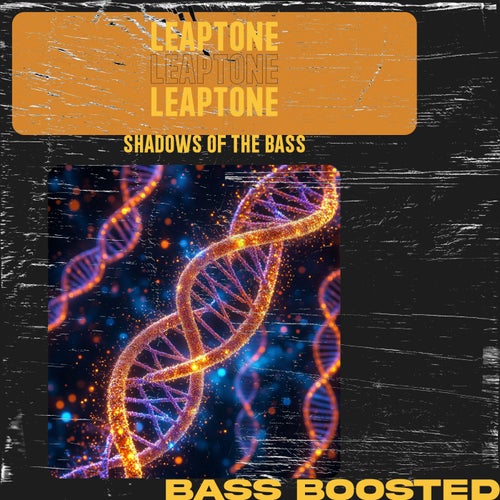 Shadows of the Bass