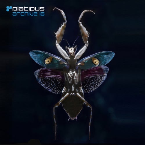Platipus - Archive 16