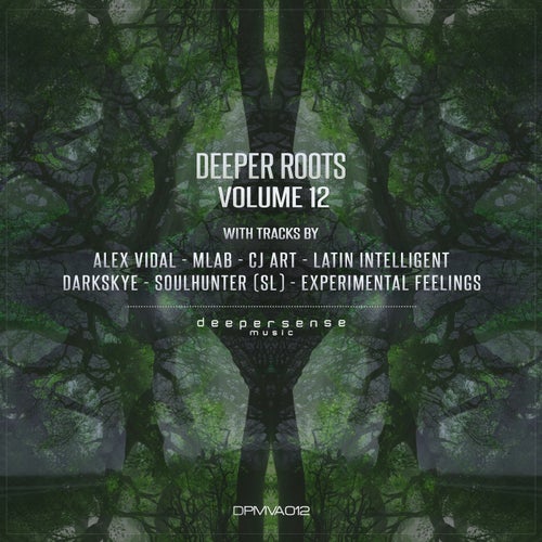 Deeper Roots, Vol. 12