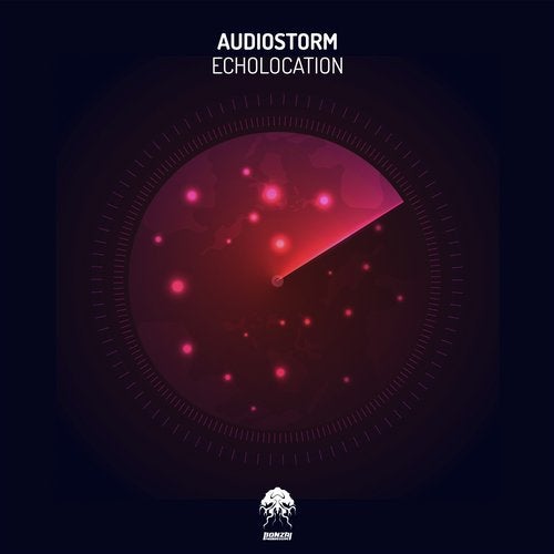 Cover art for Echolocation