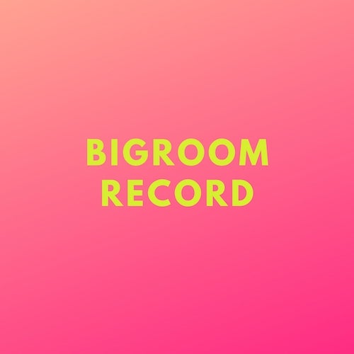 Bigroom Record