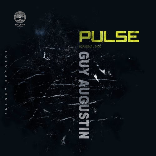 Cover art for Pulse