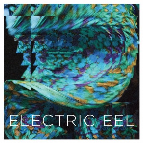 Cover art for Electric Eel