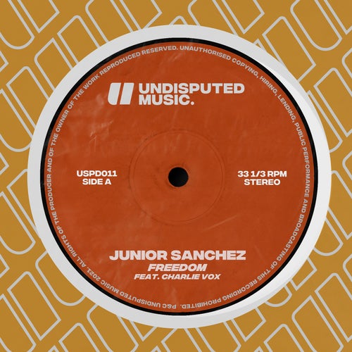 Freedom (feat. Charlie Vox) (Extended Mix)