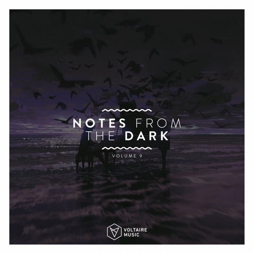 Notes From The Dark Vol. 9
