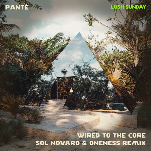 Wired To The Core (Sol Novaro & Oneness Remix)
