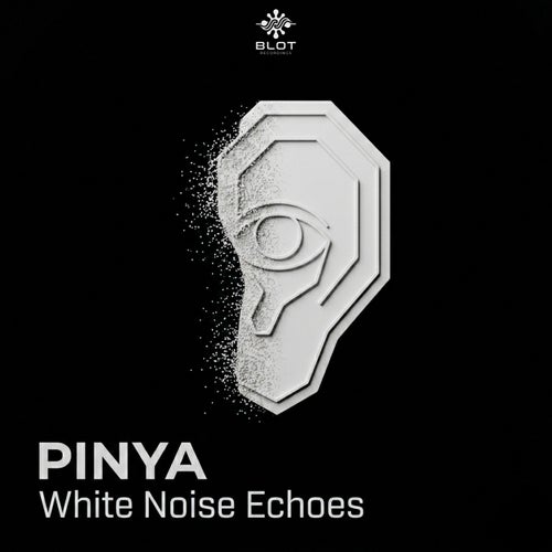 White Noise Echoes