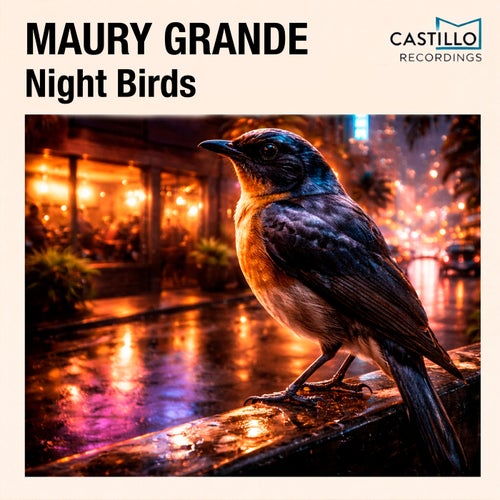 Night Birds