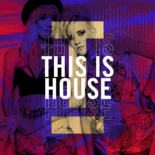 LINK Label | Toolroom - This Is House