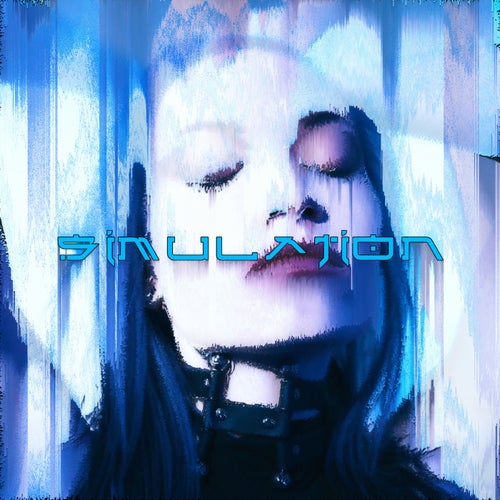 Cover art for Simulation