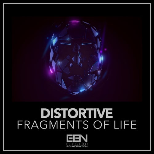 Fragments of Life