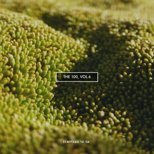 The 100, Vol. 6