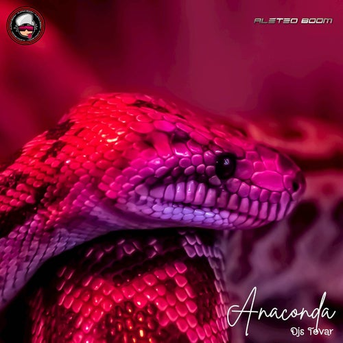 Anaconda