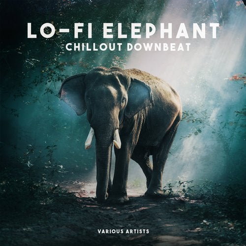 Cover art for Lofi Elephant (Chillout Downbeat)