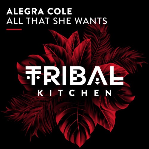 Alegra Cole - All That She Wants (Extended Mix).mp3