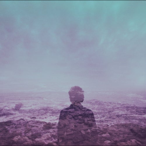 Lucid Perspicacity [November 2012]