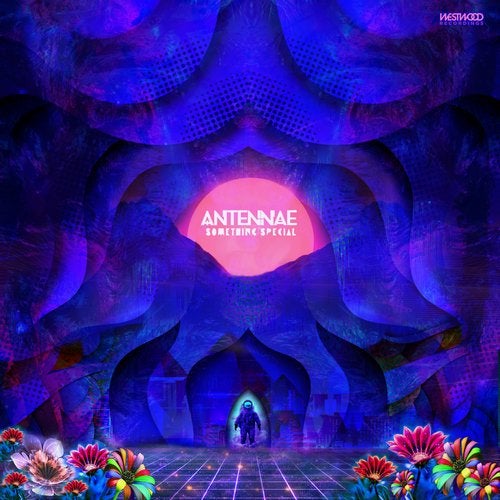 Cover art for Something Special