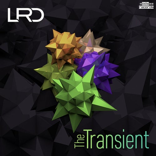 The Transient