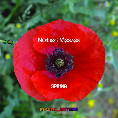 Spring
