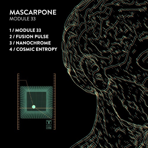 Module 33