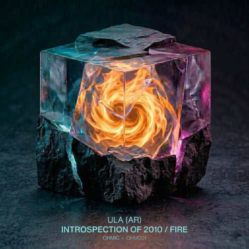 Introspection of 2010