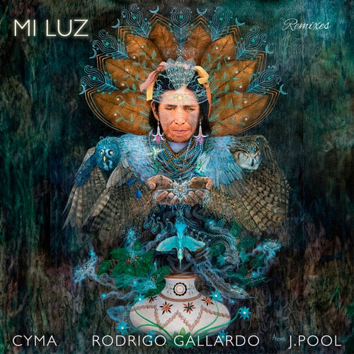 Mi Luz (Remixes)