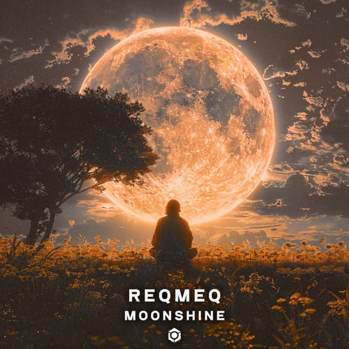 Reqmeq - Moonshine (2024) 