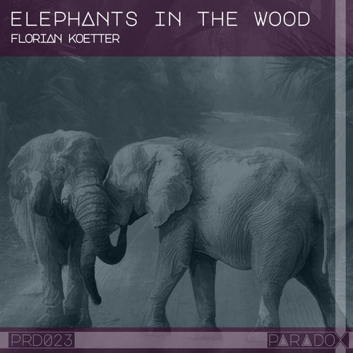 Elephants in the Wood