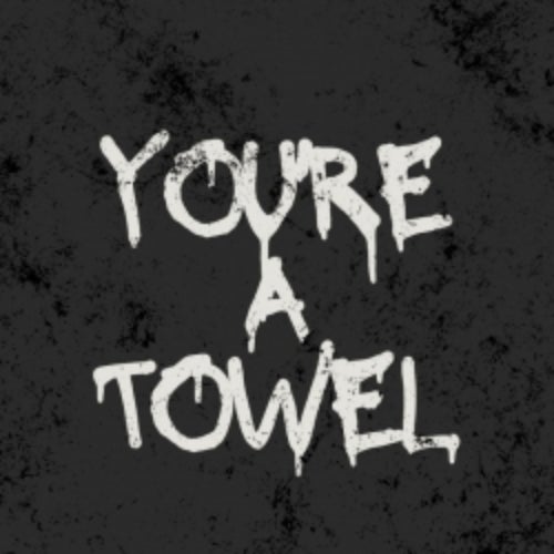 You're A Towel