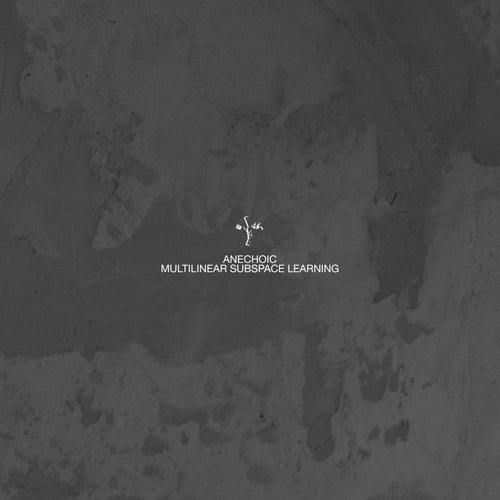 Mulitlinear Subspace Learning