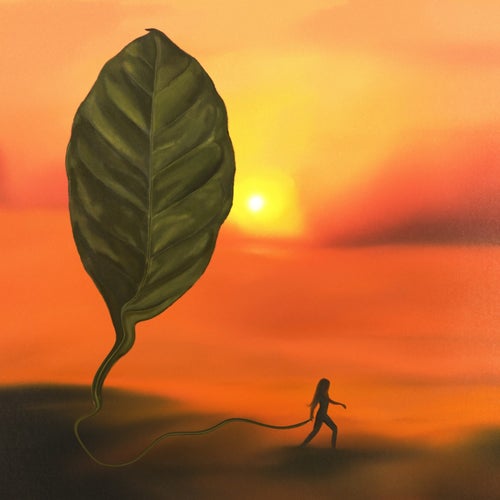 Arabica