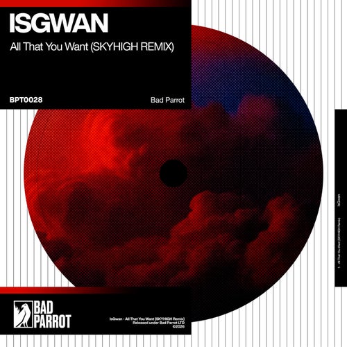 All That You Want (SKYHIGH Remix)