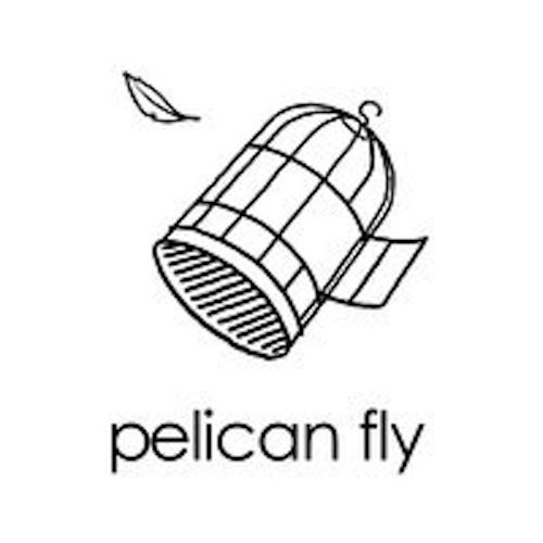 Pelican Fly / Because Music