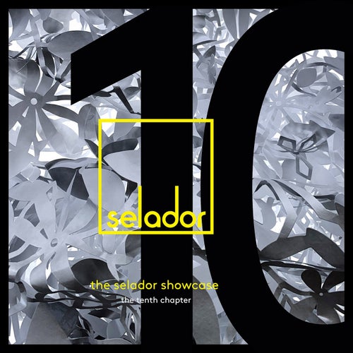 The Selador Showcase, The Tenth Chapter