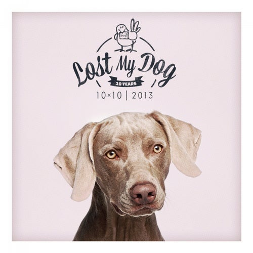 Lost My Dog 10x10 - 2013