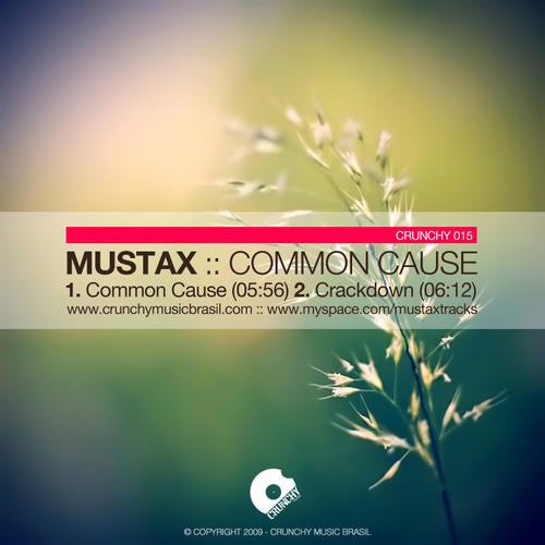 Common Cause