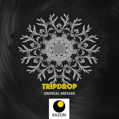 Cover art for Critical Mistake