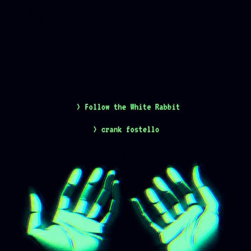 Follow The White Rabbit