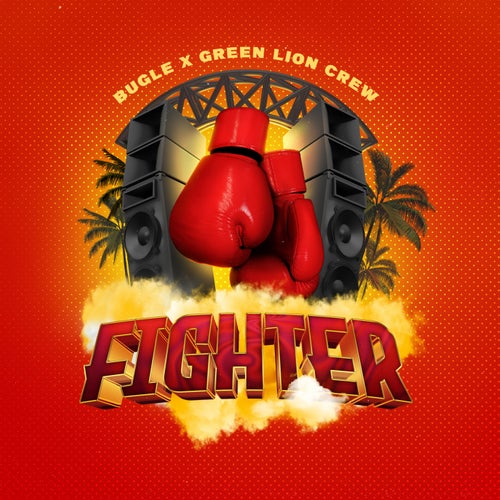 Fighter