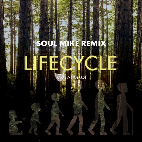 Cover art for Lifecycle