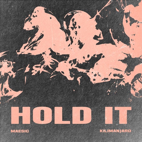 Hold It (Extended Mix)