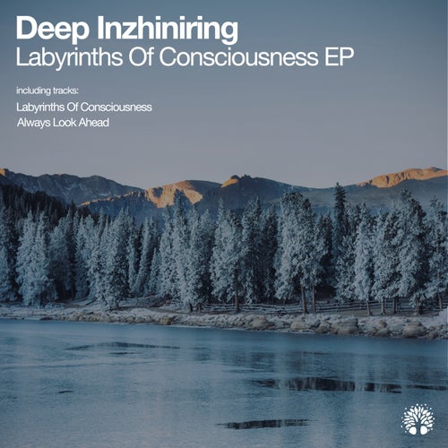  Deep Inzhiniring - Labyrinths of Consciousness (2023) 