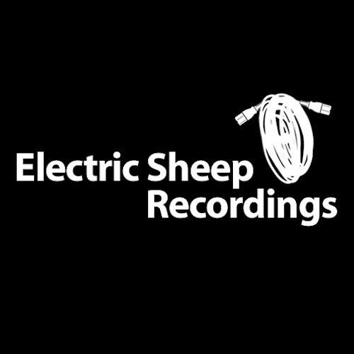 Electric Sheep Recordings