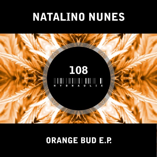 Orange Bud E.P.