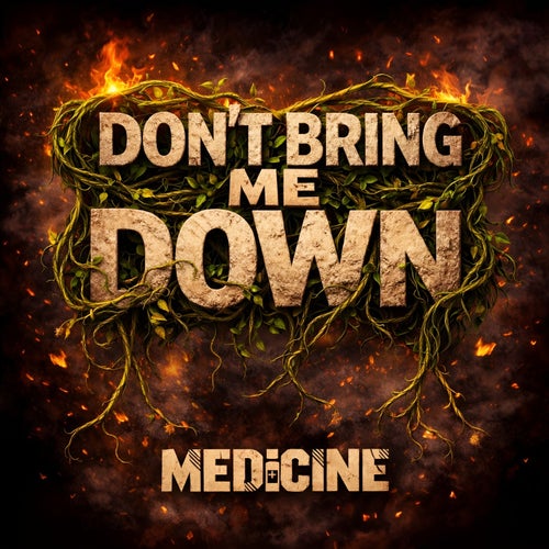 Don't Bring Me Down